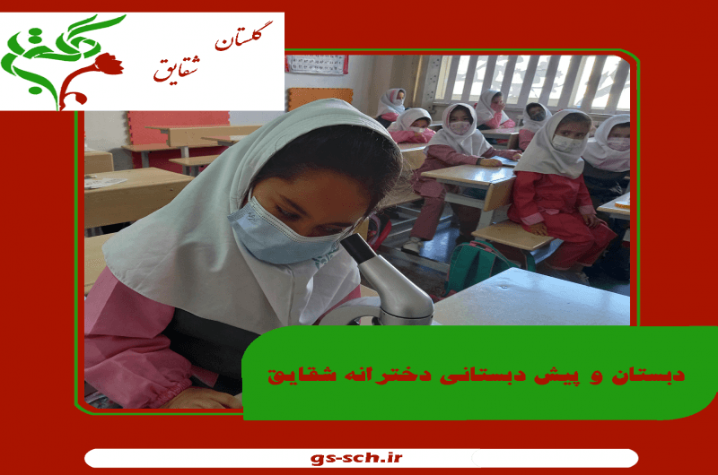 تصویر اسلایدر